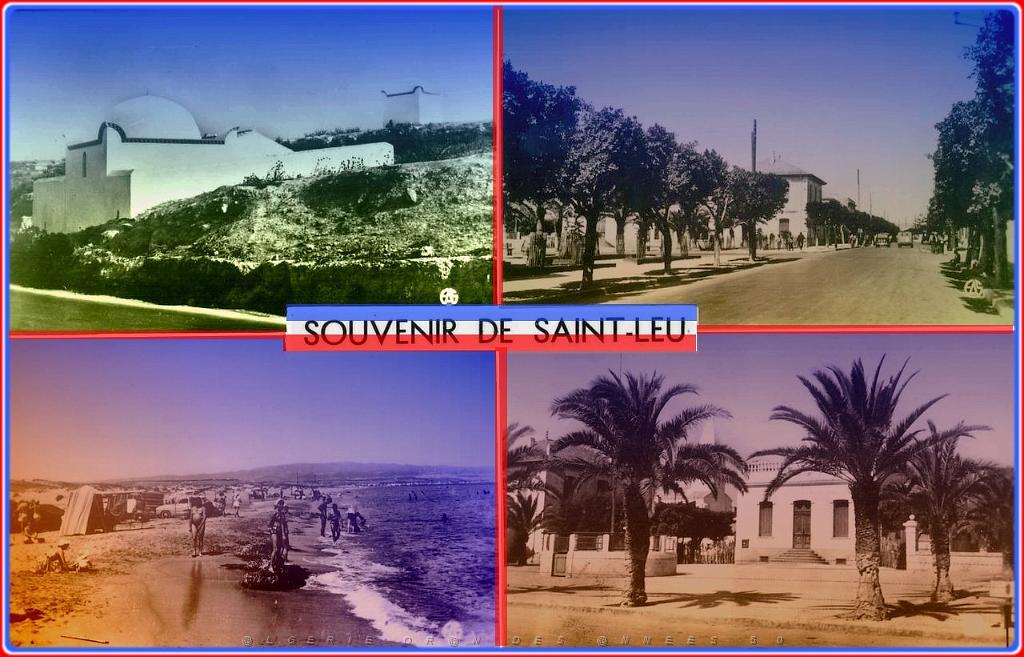 Saint Leu 503- Souvenirs.jpg